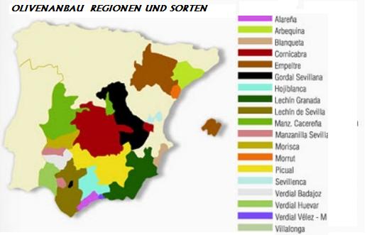 Die Oliven Anbau Regionen in Spanien